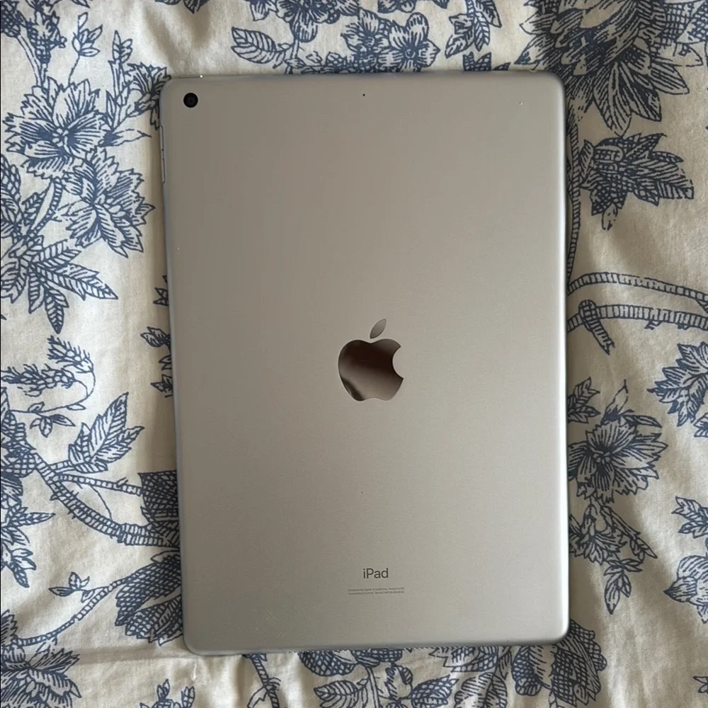 Apple iPad, Pencil, & Fleather Case